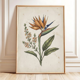 Póster Elegante Ave del Paraíso Vintage