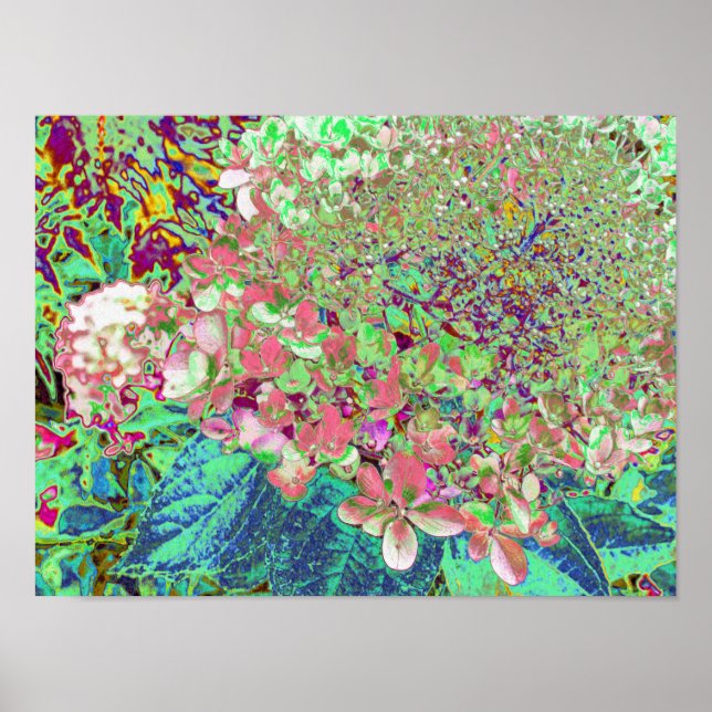 Póster Elegante Coral y Chartreuse Limelight Hydrangea (Frente)