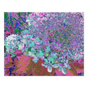 Póster Elegante detalle de Hortensia Limelight Aqua y Púr