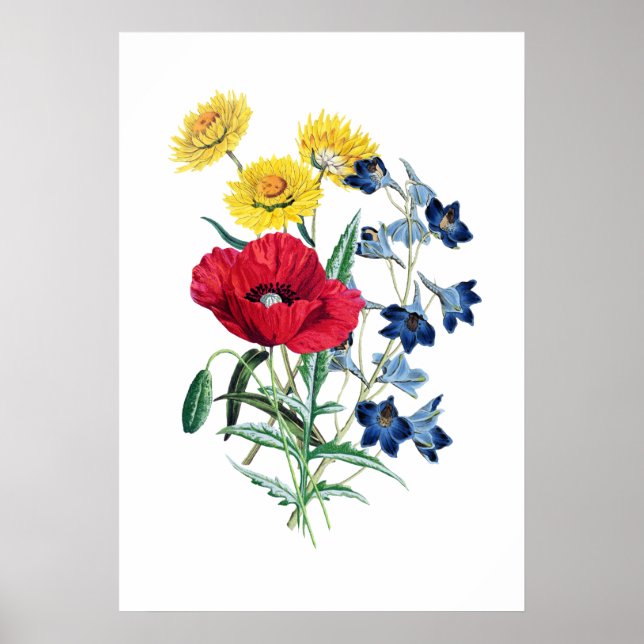 Póster Elegante estilo moderno de flores silvestres adorm (Frente)