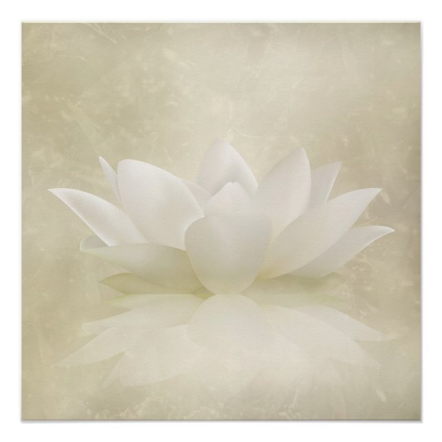 Póster Elegante Gentle White Lotus / Flor Lily (Anverso)