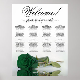 Póster Elegante Gráfico de Asientos de Mesa 8 Rosas Verde