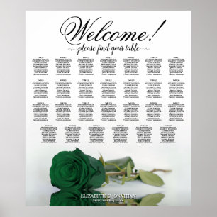Póster Elegante Gráfico de Asientos de Mesa Verde Esmeral