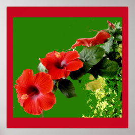 Póster Elegante Hibiscus Rojo en Poster a todo flor