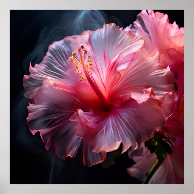 Póster Elegante Hibiscus Rosa (Frente)