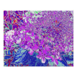 Póster Elegante hidrangea liga púrpura y azul