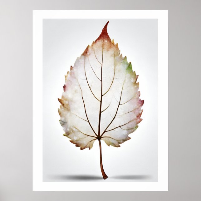 Póster Elegante Huella de Hojas con Huella de Vena (Frente)