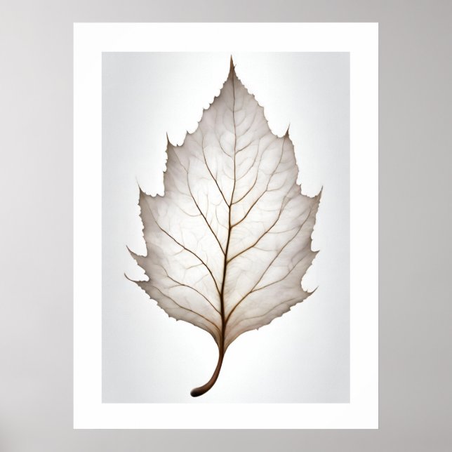 Póster Elegante Huella de Hojas con Huella de Vena (Frente)