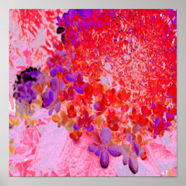 Póster Elegante morado y Naranja Limelight Hydrangea