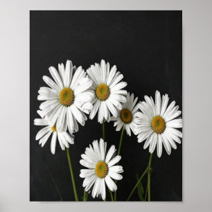 Póster Elegante naturaleza muerta botánica de ojo de buey