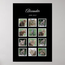 Póster elegante para mascotas negras con 12 espaci
