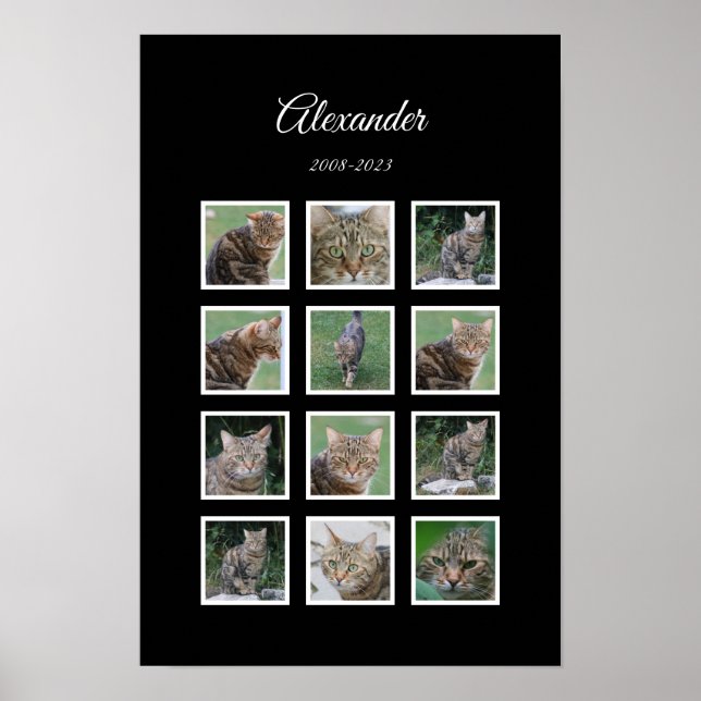 Póster elegante para mascotas negras con 12 espaci (Frente)