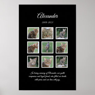 Póster elegante para mascotas negras con 9 espacio