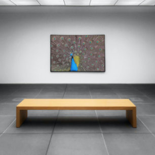 Póster Elegante Pavo Real En Azul Con Cola Afilada