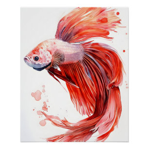 Póster Elegante pescado Betta - acuarela Imprimir siamés