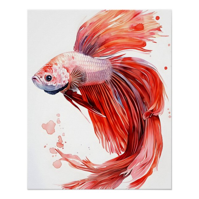 Póster Elegante pescado Betta - acuarela Imprimir siamés (Anverso)
