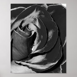 Póster Elegante Poster de fotos de rosa blanca y negra