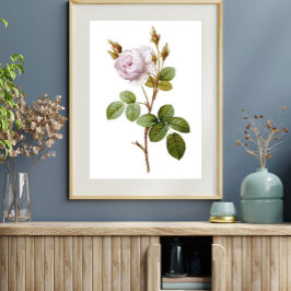 Póster Elegante Poster Imprimible Botánico Rosa