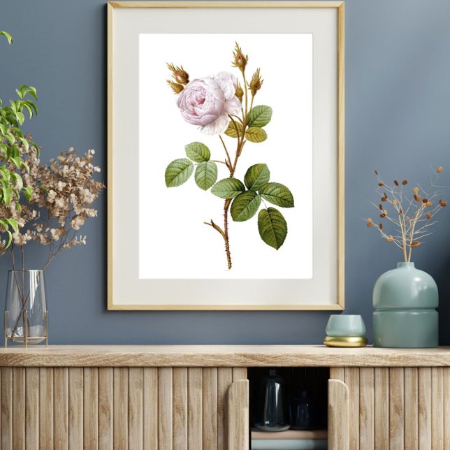 Póster Elegante Poster Imprimible Botánico Rosa (Subido por el creador)