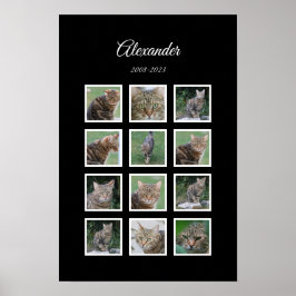 Póster Elegante Poster Mascota negro con 12 ranuras para