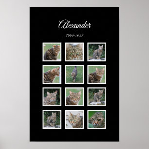 Póster Elegante Poster Mascota negro con 12 ranuras para 