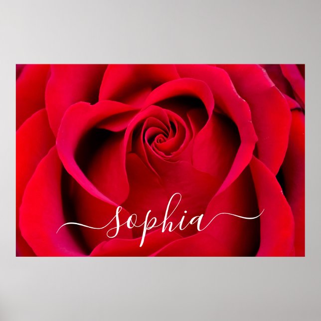 Póster Elegante Rojo Flor Rosa Foto Añadir nombre (Frente)