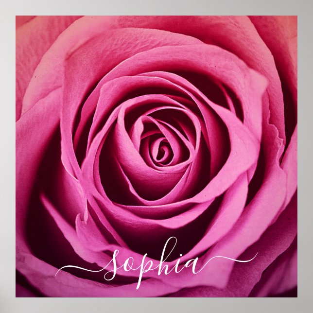 Póster Elegante Rosa Flor Flower Photo Add Name Poster (Frente)