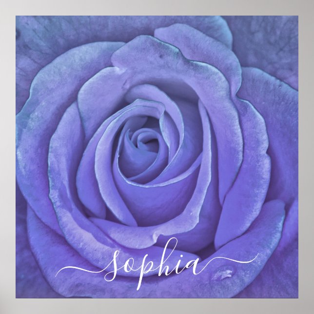 Póster Elegante Rosa Flor Foto Añadir nombre (Frente)