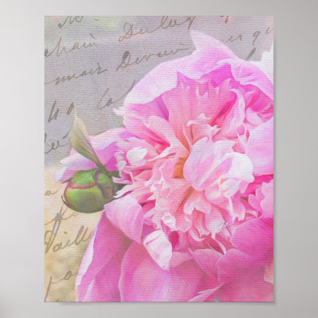Póster Elegante Rubor Pink Peony Floral con guión de text (Frente)