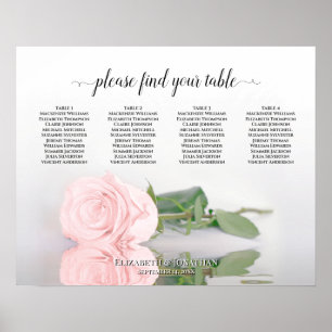 Póster Elegante Rubor Rosa Rosa Rosa 4 Tabla de asientos