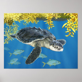 Póster Elegante tortuga de mar Ridley de Kemp con sargazo