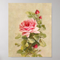 Elegantes rosas rosadas de época