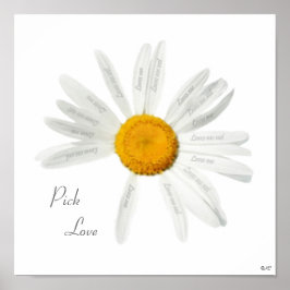 Póster Elegir a Love Daisy