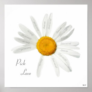 Póster Elegir a Love Daisy