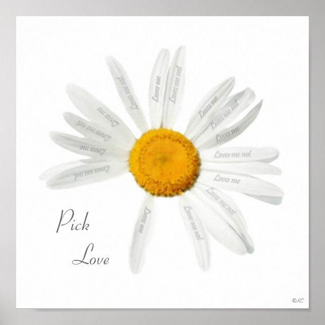 Póster Elegir a Love Daisy (Frente)