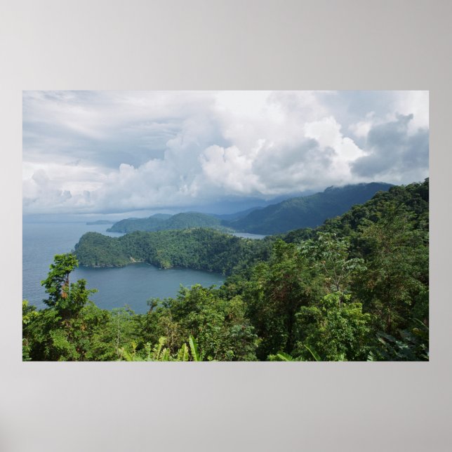 Póster elementos del paraíso (Frente)