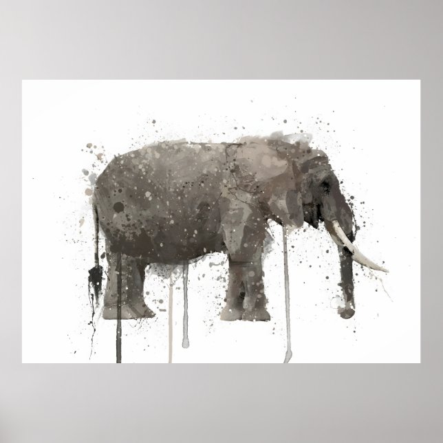 Póster Elephant  (Frente)