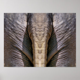 PÓSTER ELEPHANT DUN