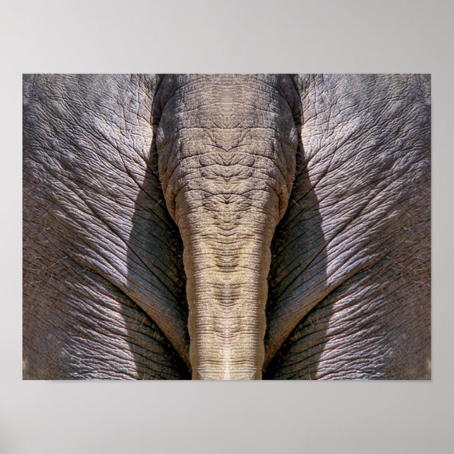 PÓSTER ELEPHANT DUN (Frente)