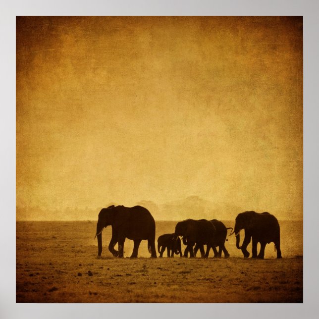 Póster Elephant Family (Frente)