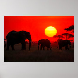 Póster Elephant Family in Sunset
