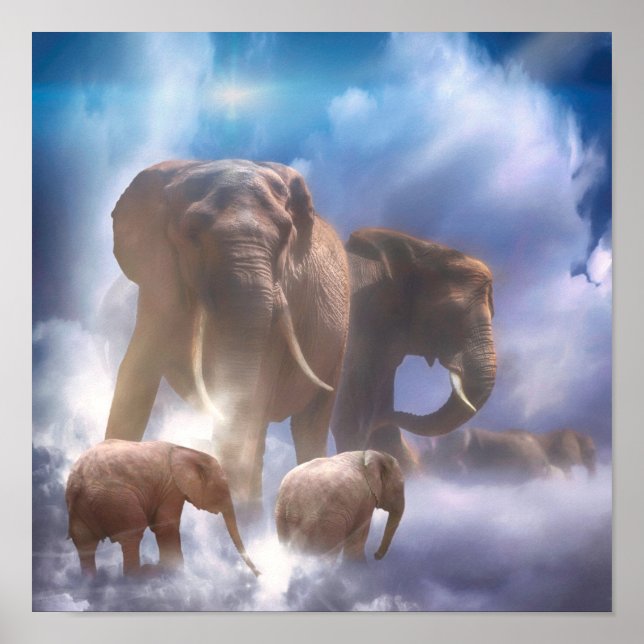 PÓSTER ELEPHANT HEAVEN (Frente)