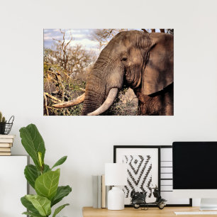 Póster Elephant Lovers Art