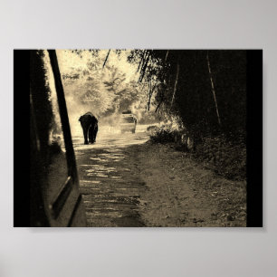 Póster Elephant on a Stroll