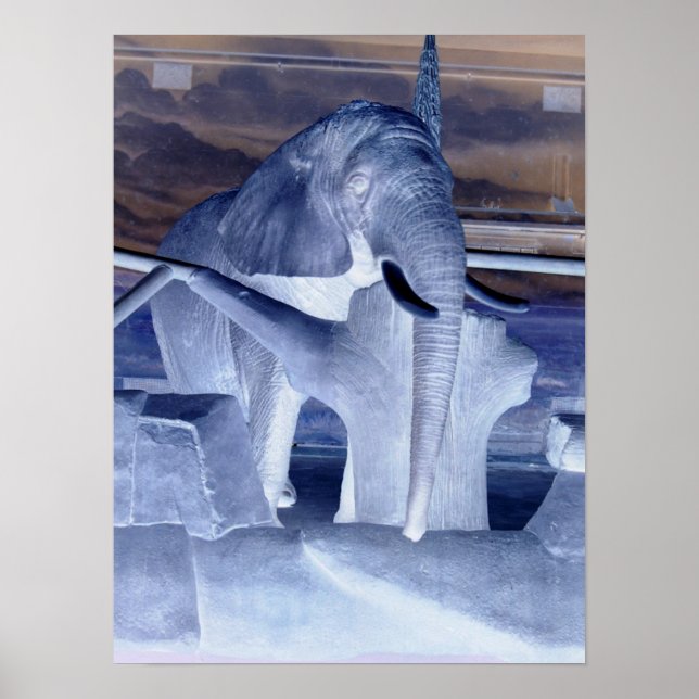 Póster Elephant Pop Art (Frente)