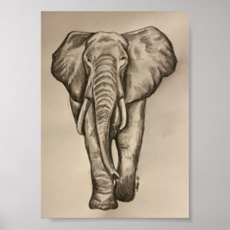 Póster Elephant poster