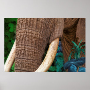 Póster Elephant Tend My Garden