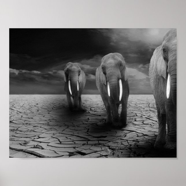 Póster Elephants in the Desert (Frente)