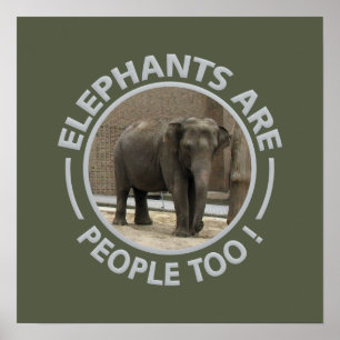 Póster ELEPHANTS poster