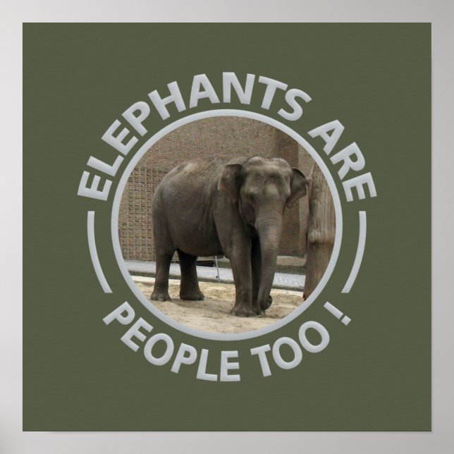 Póster ELEPHANTS poster (Frente)